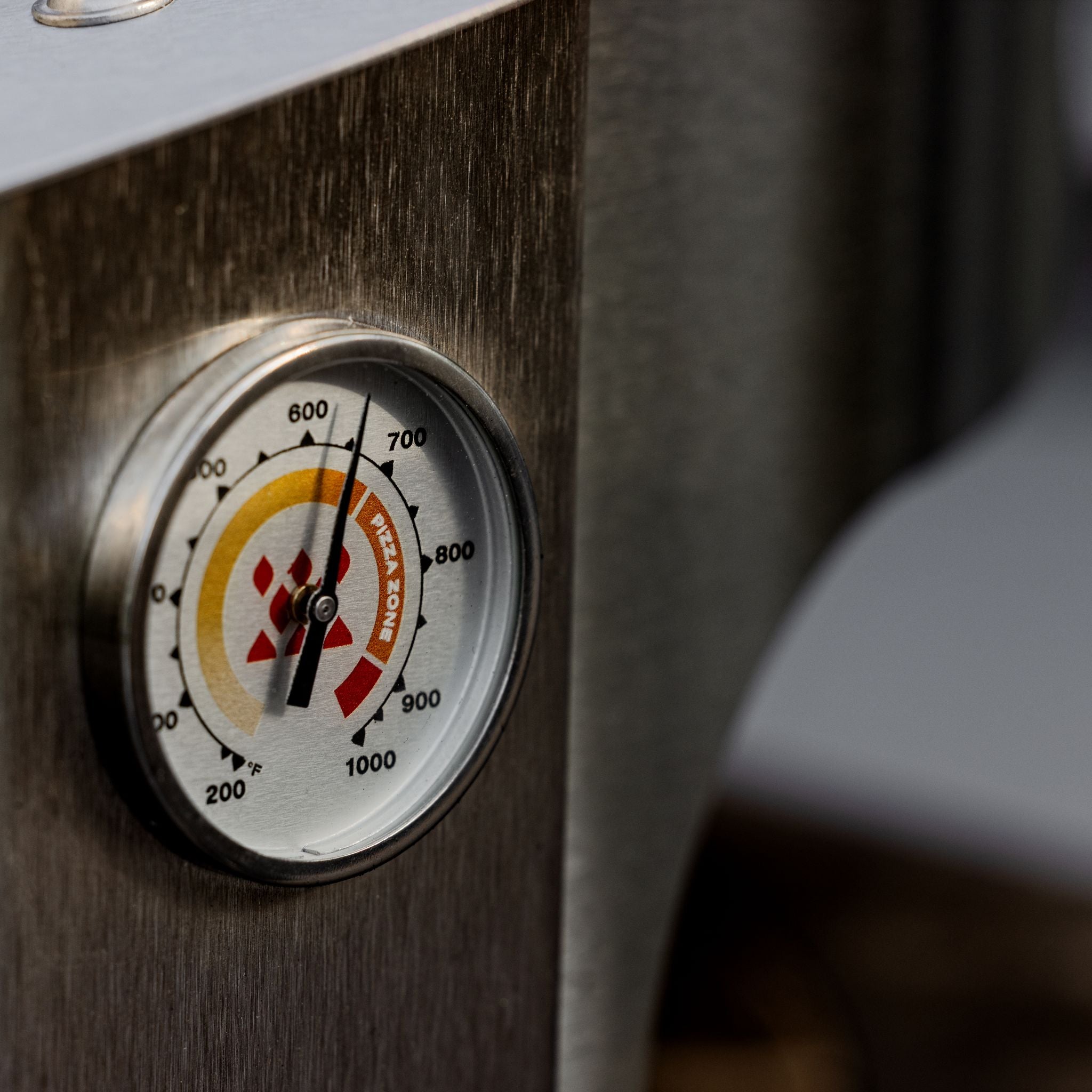 Live-Fire Pizza Oven