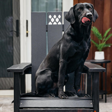 X Series Chair + Accessories