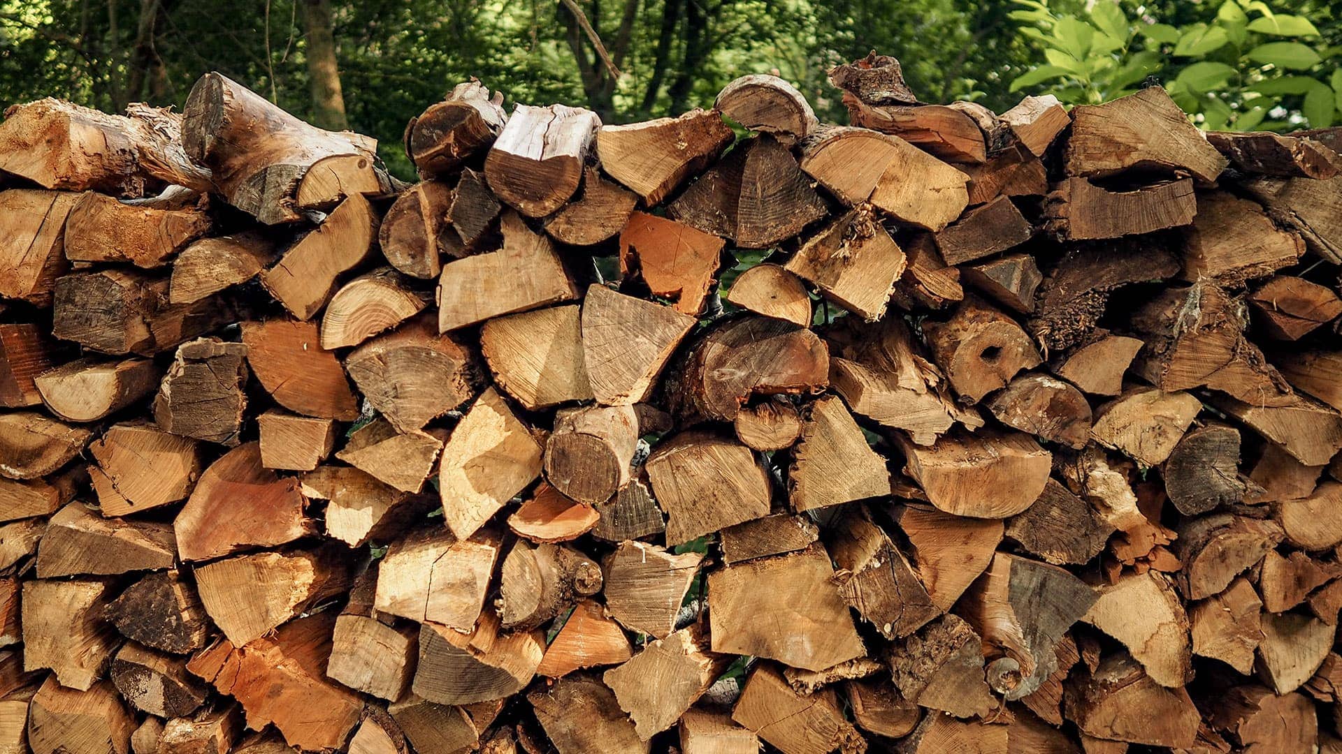 Pile of wood